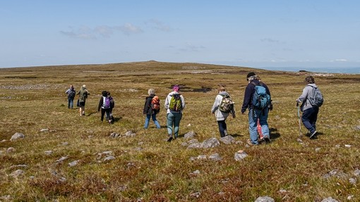 Group of people walking across a field